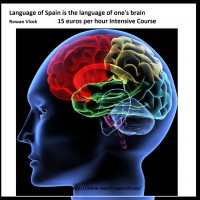 /album/fotogaleria-communications/brain1-jpg1/